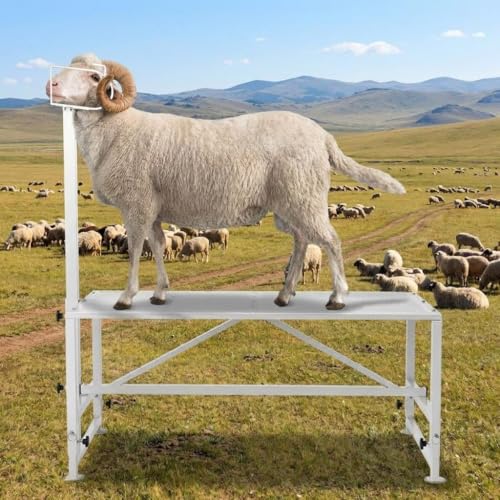 Goat Milking Stand, 47"X23" Heavy Duty Adjustable Goat & Sheep Stand, 21"-33" Livestock Hoof Trimming & Shearing Milking Table with Headpiece and Nose Loop, 500 Lb Capacity Metal Stanchion，White - color: White