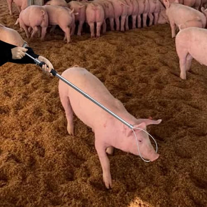 Dog Catcher Pole, Portable Animal Control Pole Tool | 30'' Hog Pig Catcher,Stainless Steel,Anti-Slip,For Pig Dog Goat Animals Swine,Livestock Farm Equipment