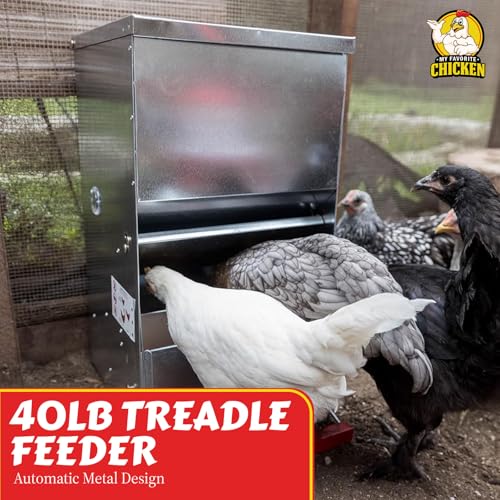 My Favorite Chicken 40lb Automatic Metal Poultry Treadle Feeder – Rust-Resistant Chicken Feeder, Self-Adjusting, Eco-Friendly Chicken Coop Essentials