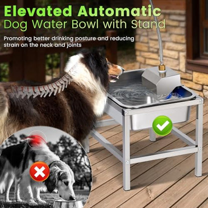 3Gal Automatic Dog Water Bowl Dispenser Large Breed Elevated Outdoor Large Dog Water Bowl with Stand Raised Stainless Auto Fill Waterer with Float Valve for Big Dogs Pets Cats Chicken Livestock