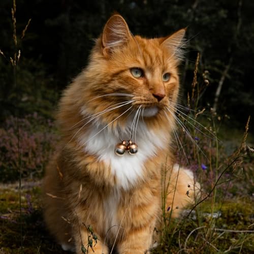 Beau's Bells 2 Extra Loud Cat & Dog Bells | Pet Tracker | Save Birds & Wildlife | Luxury Handmade Copper (Small) - size: Small