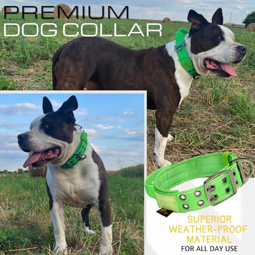 ADITYNA Heavy Duty Dog Collar for Medium Dogs with Traffic Handle - color: Green, size: Medium: Fit 15-19" Neck