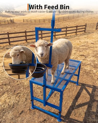 Heavy-Duty 400LBS Goat Milking Stand, Livestock Grooming Table