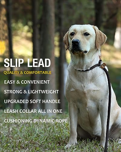 lynxking Dog Leash 1/2in x 5ft Slip Lead Black and 1/2in x 6ft Slip Lead Reflective Blue,2 Pack
