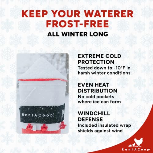 RentACoop LG Thermo Bucket Belt and 2 Gal Corner Bucket Waterer