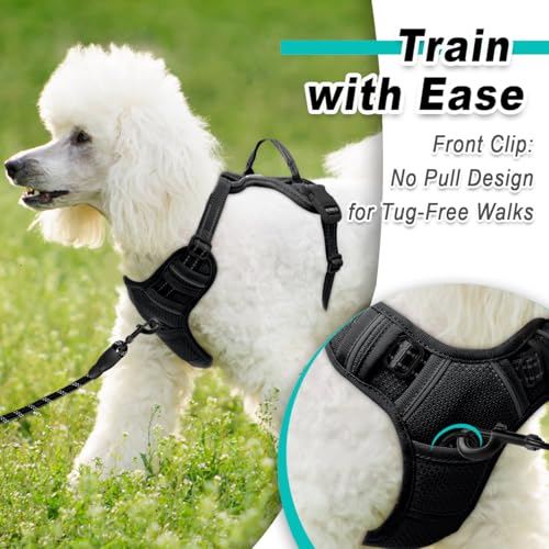BARKBAY Dog Harness for Small Sized Dog No Pull Mesh 2 Clips Dog Vest - color: Black-Mesh, size: Small
