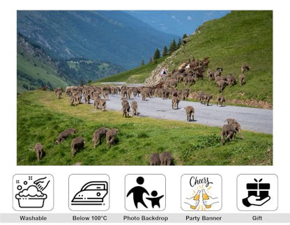 16x10ft Fabric Mountain Road Flock Sheep Backdrop Grey Mountain Highway Mass Wool Sheep Green Hillside Forest Background Tapestry Party Alpine Farm Home Wall Decorations Photo Booth Props - size: 16x10ft