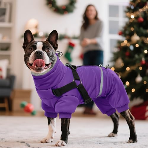 BRKURLEG Purple Dog Coat with Harness, Dog Winter Jacket, Dogs Onesie Body Warm Jackets, Small Dogs Winter Coats Reflective Windproof Warm Cold Weather Coats, Pet Waterproof Jackets, M - color: Purple, size: Medium