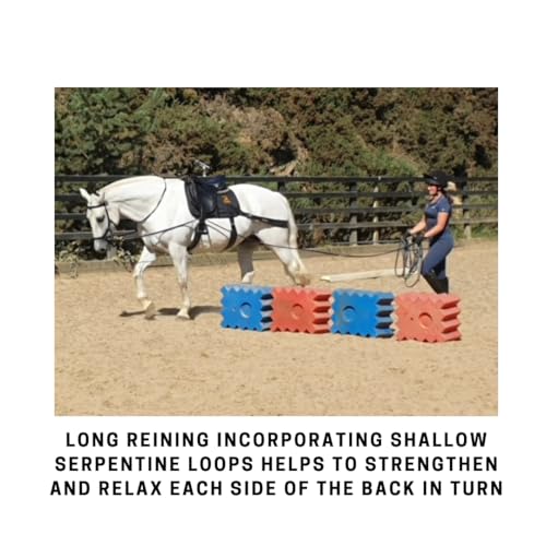 Core Conditioning Saddle Pad & Band System for Horses - style: All Purpose