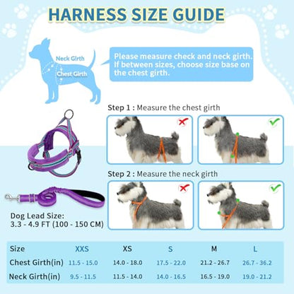 SlowTon No Pull Small Dog Harness and Leash Set with Front Clip | Soft Padded, Neck & Chest Adjustable, Lightweight, Anti-Twist, Puppy Vest Harness Pet Lead Combo for Small Medium Dog, PU XXS - color: Purple, size: XX-Small