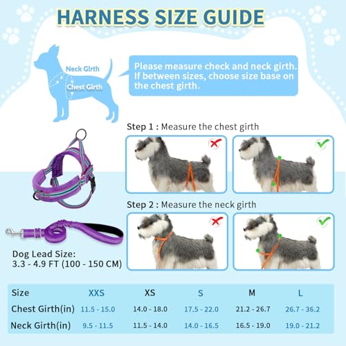 SlowTon No Pull Small Dog Harness and Leash Set with Front Clip | Soft Padded, Neck & Chest Adjustable, Lightweight, Anti-Twist, Puppy Vest Harness Pet Lead Combo for Small Medium Dog, PU S - color: Purple, size: Small