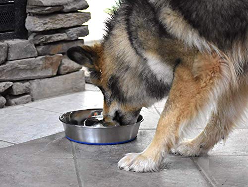 OurPets DuraPet Slow Feed Premium Stainless Steel Bowl (Heavyweight Durable Stainless Steel Bowls, Dog Food Bowl, and Dog Water Bowl) Great Alternative to Snuffle Mat for Dogs-Medium - size: Medium (4.5 Cups)