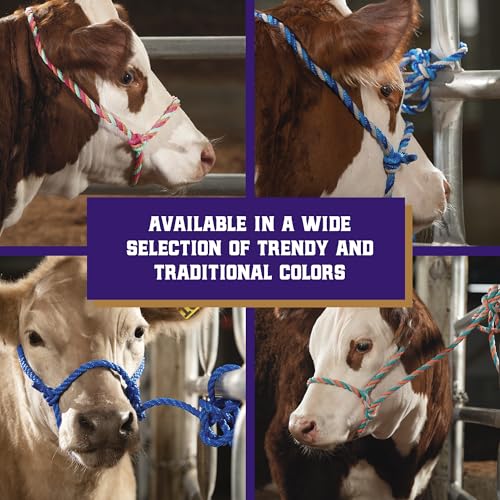 Weaver Livestock Braided Poly Rope Cattle Halter, Adjustable, Modern Style Cow Calf Halter, Livestock Handling Equipment for Showing, Black - color: Black, size: One Size