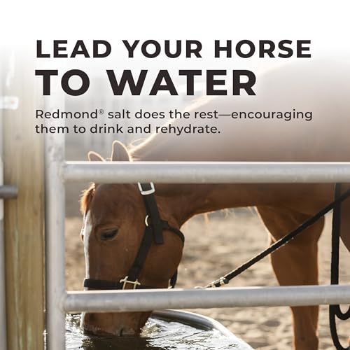 Daily Red Complete Wellness, Fortified Mineral Mix Supplement for Horses (5 LB) - size: 5 LB