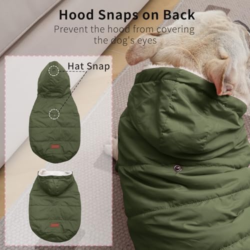 Vecomfy Warm Dog Coats with Hoodie,Winter Dog Jackets for Small Dogs - color: Green, size: Small