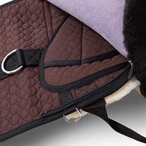 Werner Christ Horse Bareback Pad Premium Plus, Made of Real Sheepskin in Brown Size Full - color: Brown, size: Full