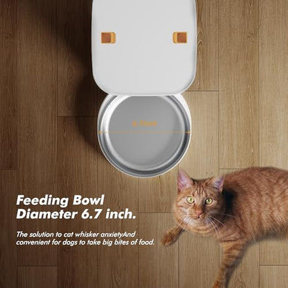 Automatic Dog Feeder - 8L/34 Cups Large Capacity Automatic Cat Food Dispenser with LCD Screen, Large Food Tray, Battery Operated, Timed Cat Feeder, Up to 50 Portions 6 Meals Per Day, Keeps Fresh - color: White