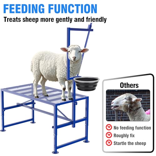 Goat Milking Stand Blue with Removable Feed Bin and Black Goat Ramp for Our Goat Stand 600 Lbs