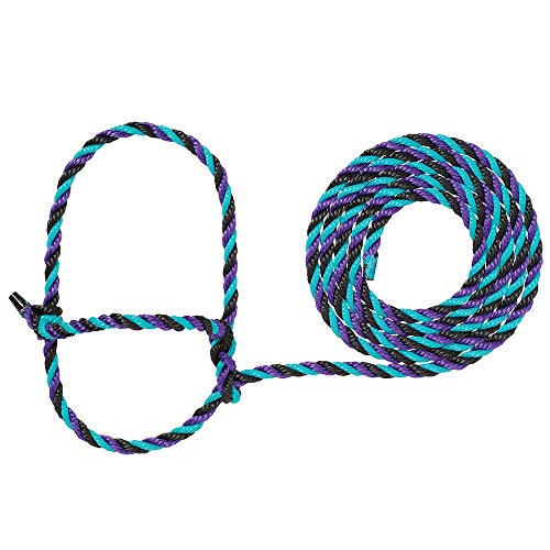 Weaver LivestockRope Halter - color: Purple/Black/Teal, size: One Size