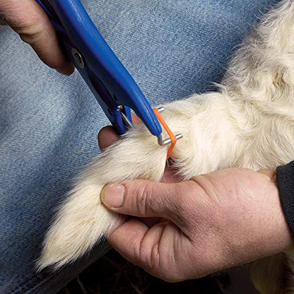 Premier 1 Supplies Shepherd's Lambing Essentials Kit