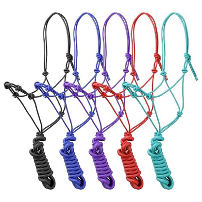 Cowboy Knot Halter & Lead (Black) - color: Black