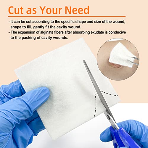 Carbou Calcium Alginate Wound Dressing, 4'' x 4'' Patches,10 Individual Sterile Pads, Soft and Highly Absorbent Dressing Gauze, Non-Stick Padding (Pack of 2) - size: 4x4 In (Pack of 20)