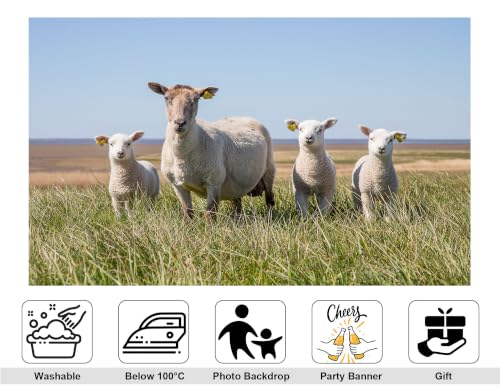 4x4ft Fabric White Wool Sheep Family Backdrop Four Fluffy Lambs Tall Green Grass Blue Coast Sky Photography Background Tapestry Party Farm Animal Decorations Photo Booth Props - size: 4x4ft
