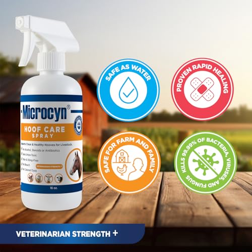 Microcyn Livestock Hoof Care Spray – 16 oz HOCl-Based Hoof Cleanser – Supports Healthy Hoof Condition & Moisture Balance – For Horses, Ponies, Donkeys & Farm Animals.