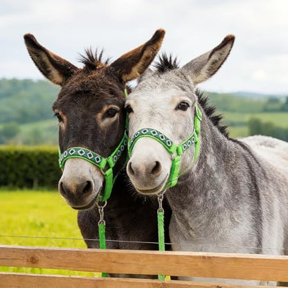 1 Set Mini Donkey Halter with Lead Rope Adjust, Bright Green - color: Bright Green