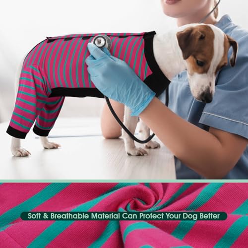 Kuoser Dog Recovery Suit with Anti Licking Rear Leg Sleeve, Rose M - color: Rose Strips, size: Medium (Back Length: 34cm / 13.38")