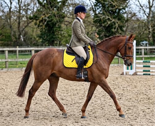 CHALLENGER Horse 23" x 20" English All-Purpose Contoured Quilted Trail Saddle Pad 72143 - color: 옐로우