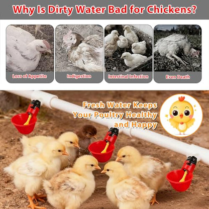 6 Packs Chicken Waterer Cups with PVC Tee Fittings, 1/8 Inch FTP Threads | Keep Clean Water, Automatic Poultry Feeder Cups Water Feeder for for DIY 1/2" Pipe System Chicks, Duck, Goose, Quail