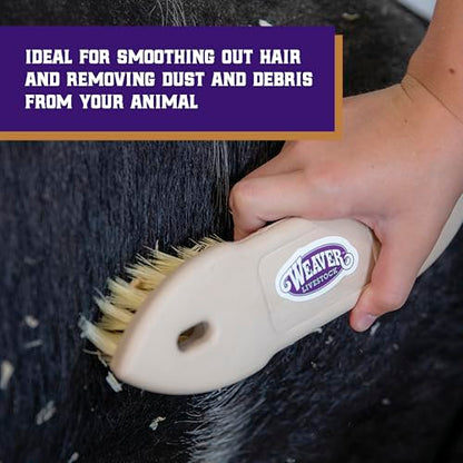 Weaver Livestock Tampico Pig Brush, Plastic Grooming Brush for Dirt Removal, Soft Bristle Tampico Brush for Smooth Hair, Daily Show Pig Grooming Tools