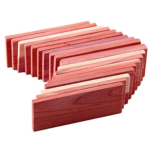 Cedar Space Cedar Blocks for Clothes Storage, 16 PCS Cedar Chips for Closet - size: 16 Count (Pack of 1)