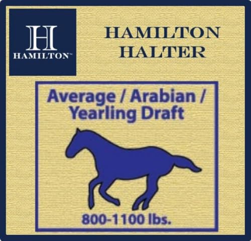Hamilton Deluxe Horse Halter, 800-1100 lbs, Blue - color: Blue, size: Average, 800-1100lbs
