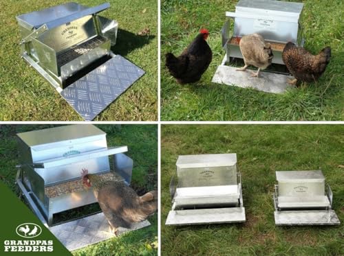 Grandpas Feeders Automatic Chicken Feeder - 20 lbs No Waste Poultry Feeder, Rat Proof & Rodent Proof Treadle Chicken Feeder, Galvanized Steel with Lid, Feeds 6 Chickens up to 10 Days - size: Standard