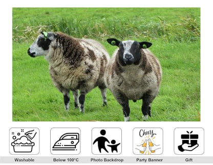 4x4ft Fabric Spotted Farm Sheep Backdrop Two Brown White Wool Sheep Lush Bright Green Meadow Grass Background Party Farm Animal Decorations Tapestry Photo Booth Props - size: 4x4ft