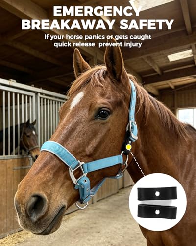 Hilltown Breakaway Halters for Horses with Leather Fuse | Adjustable Fit, Soft Rubber Padding, Quick Release Snap, and Easy Clean Webbing for Training and Stable Use - size: X-Full