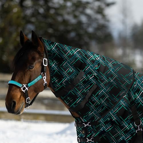 Kensington Neck Warmer Signature 180g Insulated WP XL Atlantis 6SC180 - color: Atlantis, size: X Large