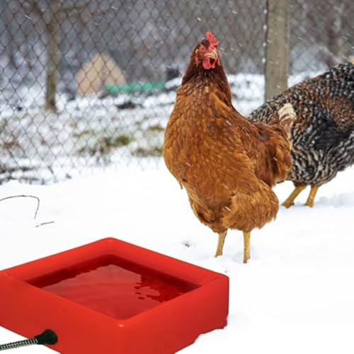 Farm Innovators D-19 Heated Animal Water Bowl, 60 Watts, 1.25 Gallon, Red - size: 5 Qt