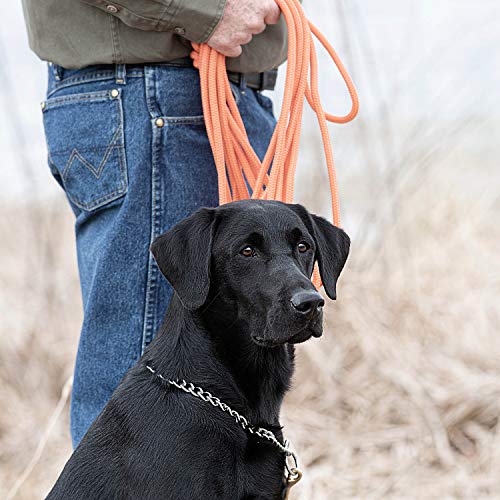 SportDOG Orange Check Cord - High-Visibility Floating Check Cord - Lightweight Tangle-Free Long Dog Training Lead with Heavy-Duty Brass Snap