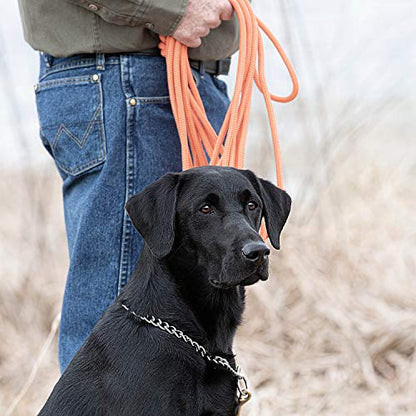 SportDOG Orange Check Cord - High-Visibility Floating Check Cord - Lightweight Tangle-Free Long Dog Training Lead with Heavy-Duty Brass Snap