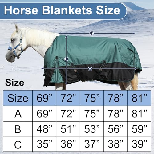 1200D Horse Blanket, 200g Medium Weight Waterproof Winter Turnout - color: Green Black, size: 72"