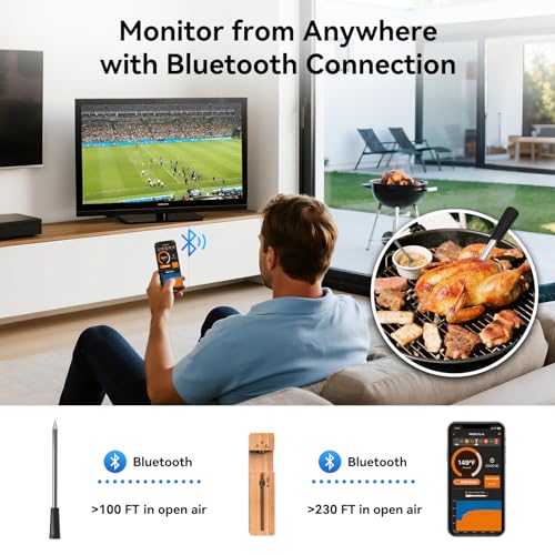 Newise Bluetooth Wireless Meat Thermometer - Long Range & Fast Charge - style: 1 Probe