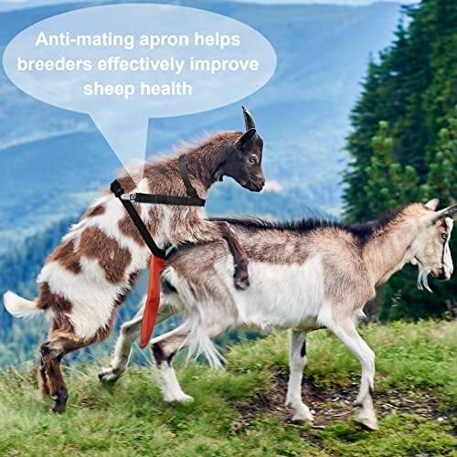 Kajaia Goat Apron Anti Breeding Sheep Skirt - color: Orange, size: Large