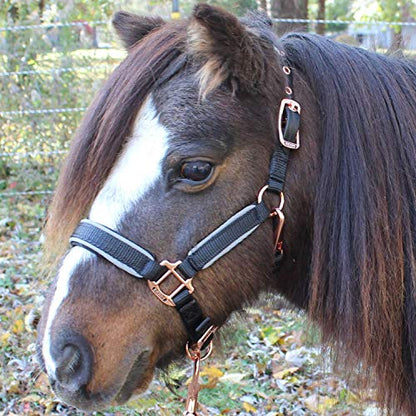 Derby Originals Rose Gold Stable & Breakaway Reflective Safety Horse Halters with Matching Lead & One Year Warranty