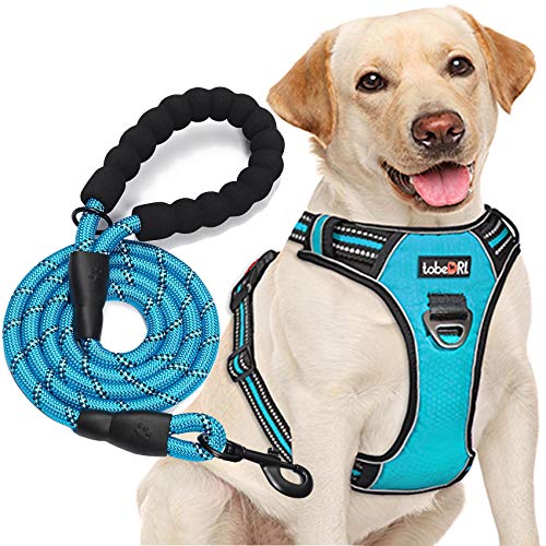 tobeDRI No Pull Dog Harness Adjustable Reflective Oxford Easy Control Medium Large Dog Harness with A Free Heavy Duty 5ft Dog Leash, Blue, S - color: Blue, size: Small