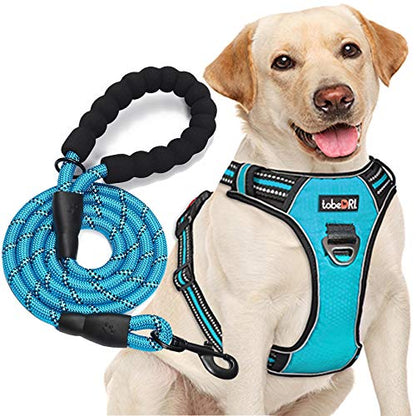 tobeDRI No Pull Dog Harness Adjustable Reflective Oxford Easy Control Medium Large Dog Harness with A Free Heavy Duty 5ft Dog Leash, Blue, S - color: Blue, size: Small