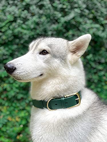 Tuff Pupper Heavy Duty Waterproof Dog Collar for Small, Medium & Large Dogs - color: Forest Green
