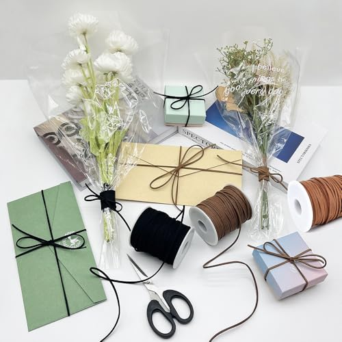 LUSTEMBER Leather String, Faux Leather Cord, Flat Suede Leather Lace for Necklaces, Bracelets, Jewelry Making, Tassels, Dream Catchers and Art Crafts - size: Light Brown